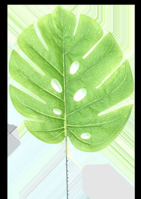 Lá nhân tạo Người làm lá giả Máy đúc phun PALM